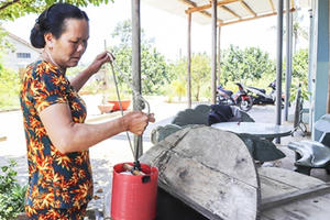 Ninh Hòa: Một số khu vực thiếu nước sạch