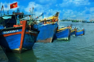 Bà Rịa – Vũng Tàu: Tạm dừng hoạt động cảng cá Hưng Thái trên địa bàn huyện Long Điền