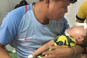 Nghệ An báo động tình trạng chó thả rông cắn người tử vong tăng cao