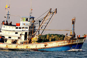 Nhiều tàu cá ở Cà Mau xin rút khỏi danh sách hỗ trợ