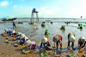 Audio địa ốc 360s: Thành lập Khu kinh tế ven biển Thái Bình quy mô hơn 30 nghìn ha