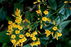 Uống chung một cốc nước, hai vợ chồng nguy kịch