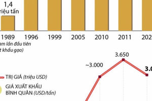 Sản lượng và giá trị gia tăng, khẳng định thương hiệu gạo Việt Nam