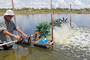 Dấu ấn vốn chính sách trong giảm nghèo bền vững ở Sóc Trăng