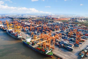 TP HCM thông qua việc lùi thời gian thu phí hạ tầng cảng biển đến tháng 4/2022