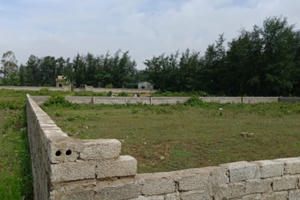 Điều chưa biết về 26 lô đất "vàng" đứng tên người thân lãnh đạo tại Thanh Hóa