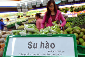 Đề xuất tăng thuế VAT, “Chính phủ cần thận trọng”