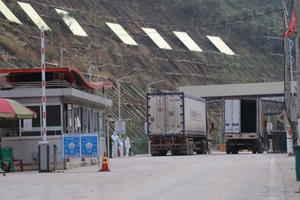 Lạng Sơn khuyến cáo DN cân nhắc việc đưa hoa quả tươi lên cửa khẩu