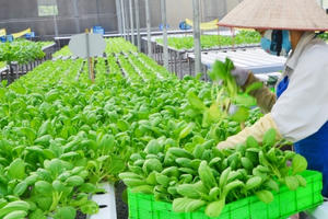 Doanh nghiệp, hợp tác xã, hộ kinh doanh được hỗ trợ lãi suất 2%/năm