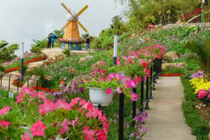 Thánh địa bí ẩn Tây Ninh: Điểm đến mới của năm 2021