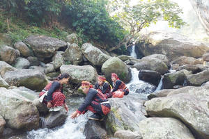 Lào Cai phê duyệt 7 điểm rừng phòng hộ làm tuyến du lịch