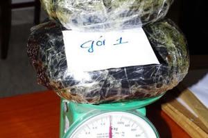 Bắt đối tượng quốc tịch Lào vận chuyển thuốc phiện sang Việt Nam bán