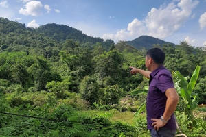 Doanh nghiệp nhận đất rừng rồi bỏ hoang