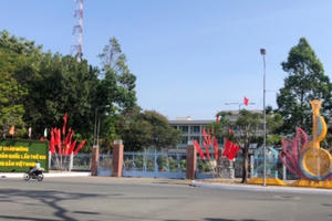 TP Cần Thơ: Rực rỡ cờ hoa chào mừng Đại hội lần thứ XIII của Đảng