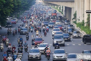 Đấu giá biển số xe: Người dân được lựa chọn biển số theo ý thích