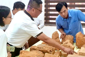 Phú Thọ: Khai quật 107 hiện vật khảo cổ tại địa điểm Ba Nền, huyện Hạ Hoà