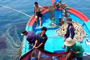 Lợi ích lâu dài