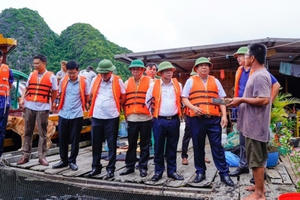 Hải Phòng: Phê bình Chủ tịch UBND huyện Cát Hải vì chậm triển khai đề án nuôi trồng thủy sản trên vịnh