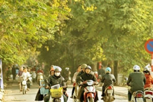 Thời tiết ngày 6/3: Hà Nội trưa chiều hửng nắng