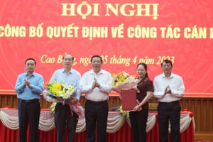 Bà Nông Thị Hà được giữ chức Trưởng Ban Nội chính Tỉnh ủy Cao Bằng