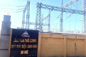 Xử phạt Nhà máy điện sinh khối An Khê do hoạt động phát điện không phép