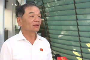 ĐBQH Lê Thanh Vân: Kỳ vọng tân Thủ tướng và Chính phủ nhiệm kỳ mới có nhiều đột phá