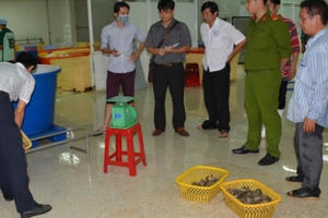 Cà Mau: Bắt quả tang bơm tạp chất vào tôm tại công ty thủy sản