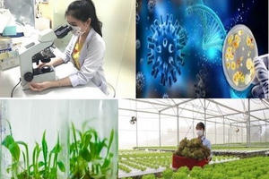 Phê duyệt Đề án phát triển công nghiệp sinh học trong lĩnh vực bảo vệ môi trường đến năm 2030