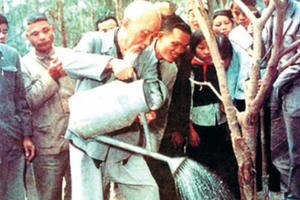 Mùa xuân là Tết trồng cây