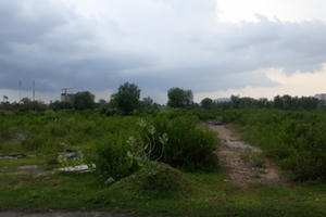 Vụ truy tố Công ty An Khang: Có hay không “hình sự hóa” vụ việc dân sự?