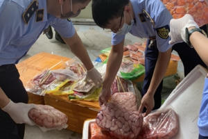 Hà Nội: Phát hiện, thu giữ 10 tấn nội tạng đông lạnh đã bốc mùi hôi thối