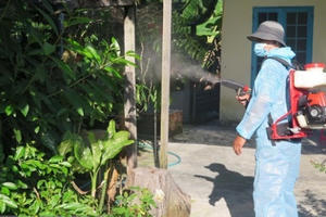 Ngành Y tế Hà Nội quyết liệt phòng, chống bệnh sốt xuất huyết