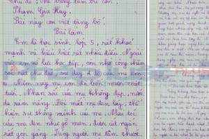 Bất ngờ phía sau câu chuyện ông bố “gà trống nuôi con” và bài văn gây xúc động