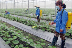 Huyện Hiệp Hòa, Bắc Giang đạt chuẩn nông thôn mới