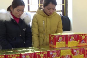 Lạng Sơn: Bắt giữ hai đối tượng vận chuyển pháo lậu