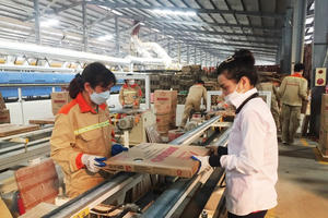 Tiếp tục miễn, giảm, gia hạn một số loại thuế, phí, lệ phí để tháo gỡ khó khăn