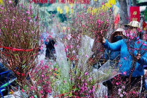 Tăng cường công tác phòng, chống dịch dịp Tết Nguyên đán và mùa lễ hội 2023