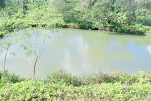 Ba trẻ nhỏ tử vong do đuối nước tại hồ tưới tiêu ở xã Ea Kly