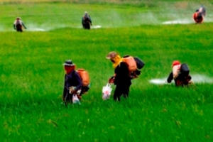 “Trói tay” vì vướng quy định chung