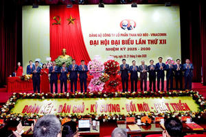 Đảng bộ Công ty Than Núi Béo - một nhiệm kỳ vượt khó thành công