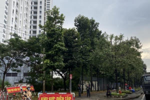 Bác bỏ thông tin, hình ảnh sai sự thật về hoạt động diễn tập tại khu vực tòa nhà của Novaland