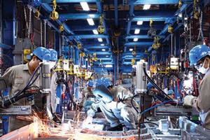 Sẽ chuẩn hóa trình độ kỹ năng nghề cho 50% lực lượng lao động Sẽ chuẩn hóa trình độ kỹ năng nghề cho 50% lực lượng lao động