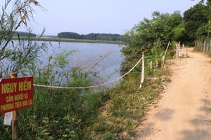 Quảng Trị: Sạt lở đe dọa hàng chục hộ dân bên bờ sông Thạch Hãn