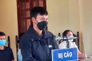 Thuê người phá rừng để trồng cây, nhận án 18 tháng tù