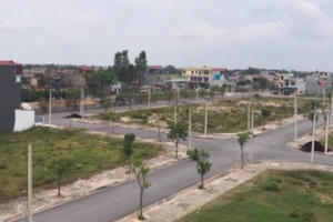 Huyện Lý Nhân (Hà Nam) đạt chuẩn nông thôn mới