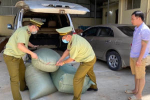 Thu giữ hàng trăm kg dược liệu thuốc bắc không rõ nguồn gốc tại Lạng Sơn