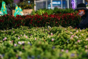 Đường hoa Nguyễn Huệ kéo dài thêm ngày hội