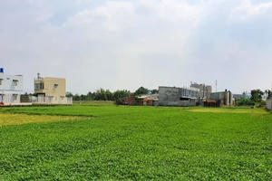 Hàng trăm trường hợp xây dựng không phép, kéo dài chưa xử lý tại Củ Chi