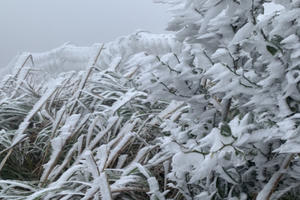 Miền Bắc xuất hiện băng giá, Thủ tướng ra công điện phòng chống rét đậm