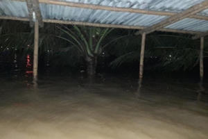 Mưa lớn trên diện rộng, gây cảnh ngập lụt khắp khu vực Trung Trung Bộ